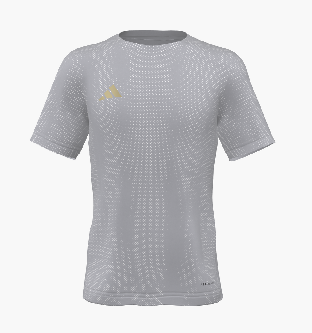 USA Stars- Game Jersey YOUTH- Grey