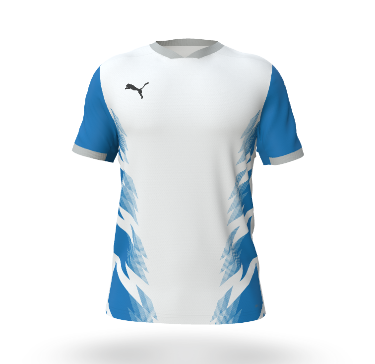 Puma fastPlay Youth Jersey V 17 - Hauppauge White