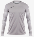 Nike Dri-FIT Park IV GK Jersey - Gray