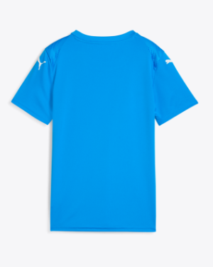 PUMA- TeamUltimate Jersey- Royal Blue
