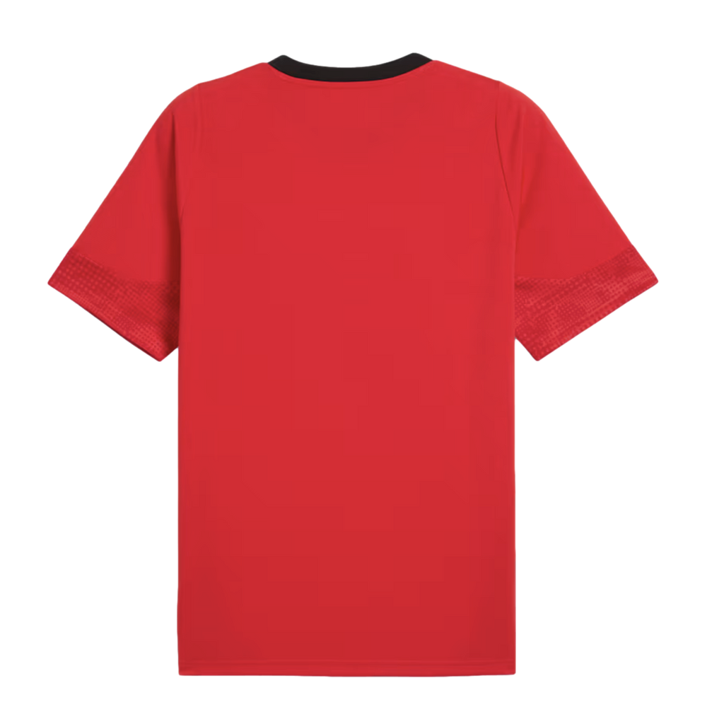 Puma AC Milan Training Jersey