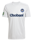 adidas Campeon 25 Jersey DUSC - Grey