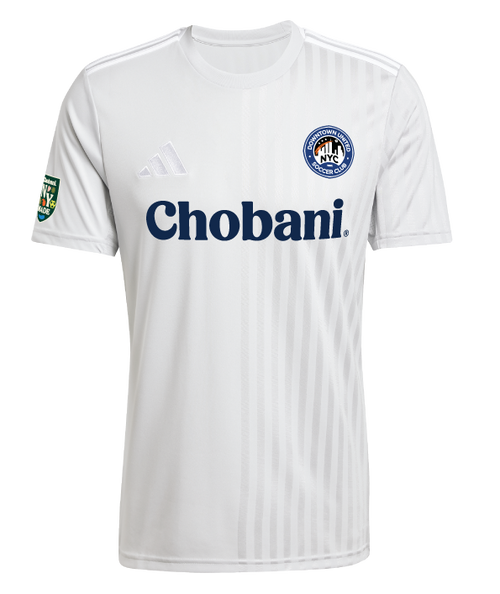 adidas Campeon 25 Jersey DUSC - Grey